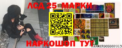 шишки Аргун