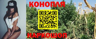 spice Апрелевка